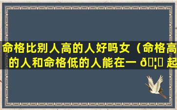 命格比别人高的人好吗女（命格高的人和命格低的人能在一 🦟 起吗）